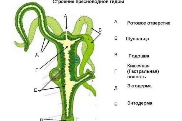 Кракен даркнет тг