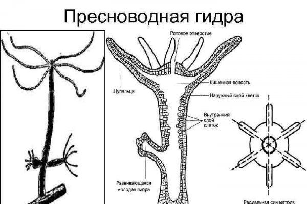 Ссылка на кракен лукойл