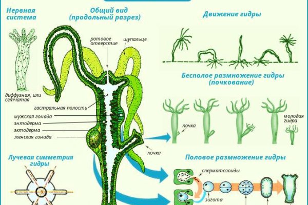 Можно вывести деньги с кракена