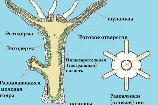 Кракен маркет даркнет только через