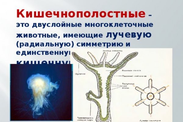 Нарко маркетплейс
