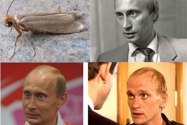 Вывести деньги с кракена