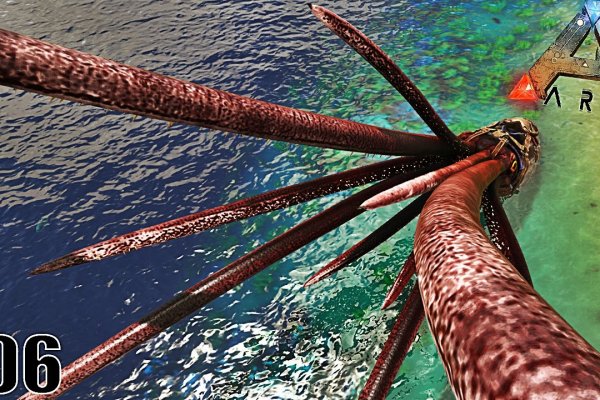 Kraken 13 at com