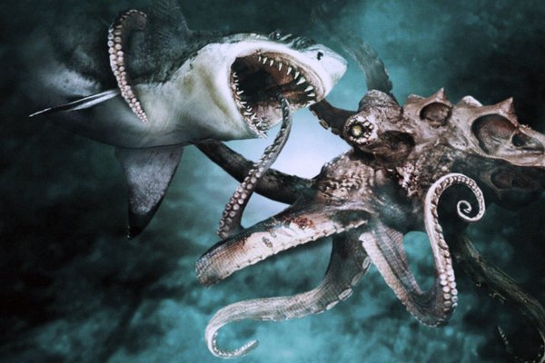 Kraken 25 at