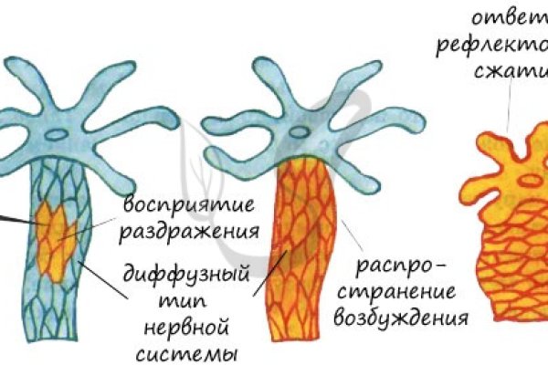 Кракен оренбург официальный сайт